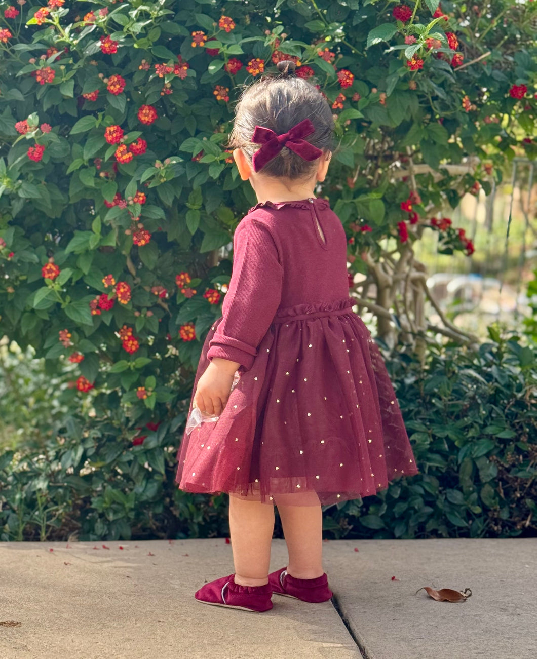 Red Wine  - Organic Cotton Baby Shoes